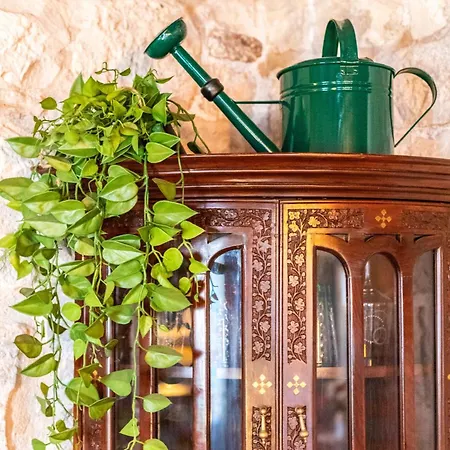 Traditional Vedran In A Stone House In The Very Center Of Trogir